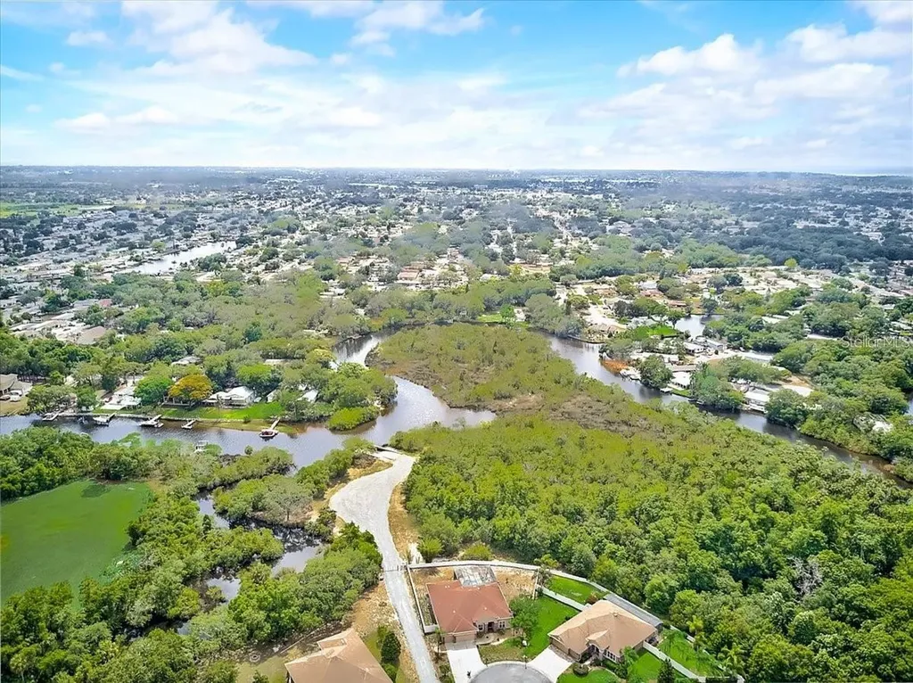 1805 Mountain Ash Way New Port Richey FL 34655