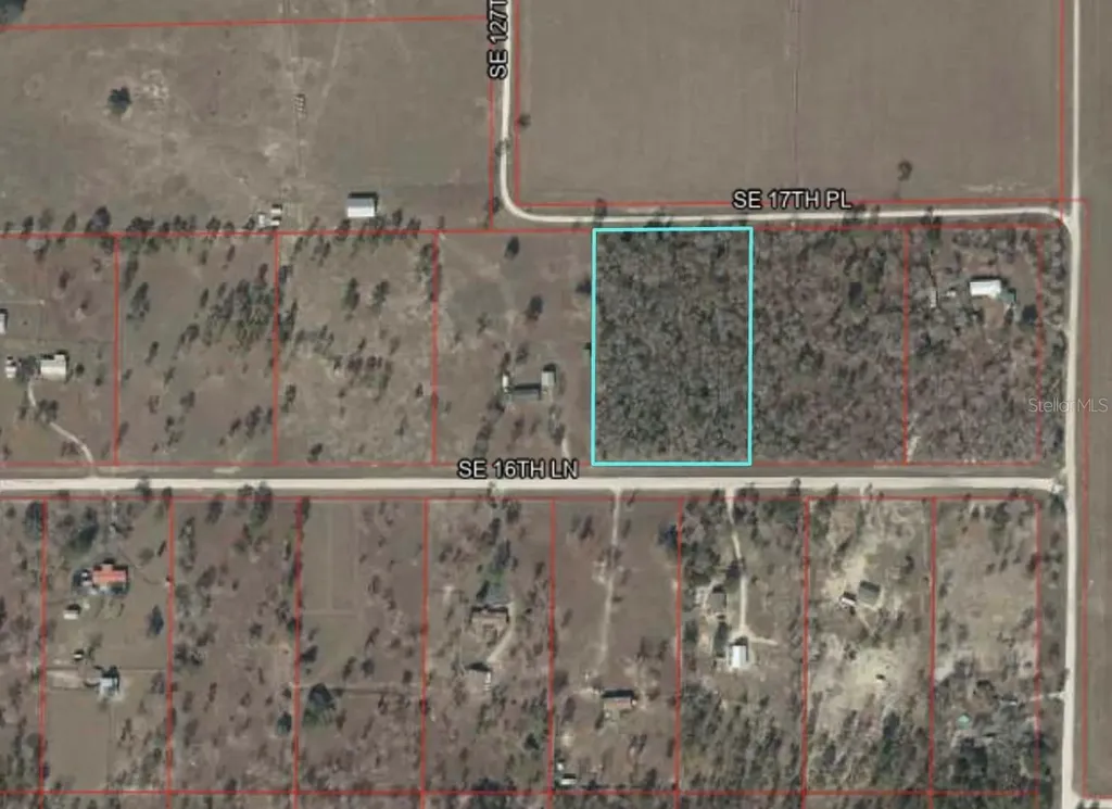 Lot 17 SE 16 Lane Morriston FL 32668