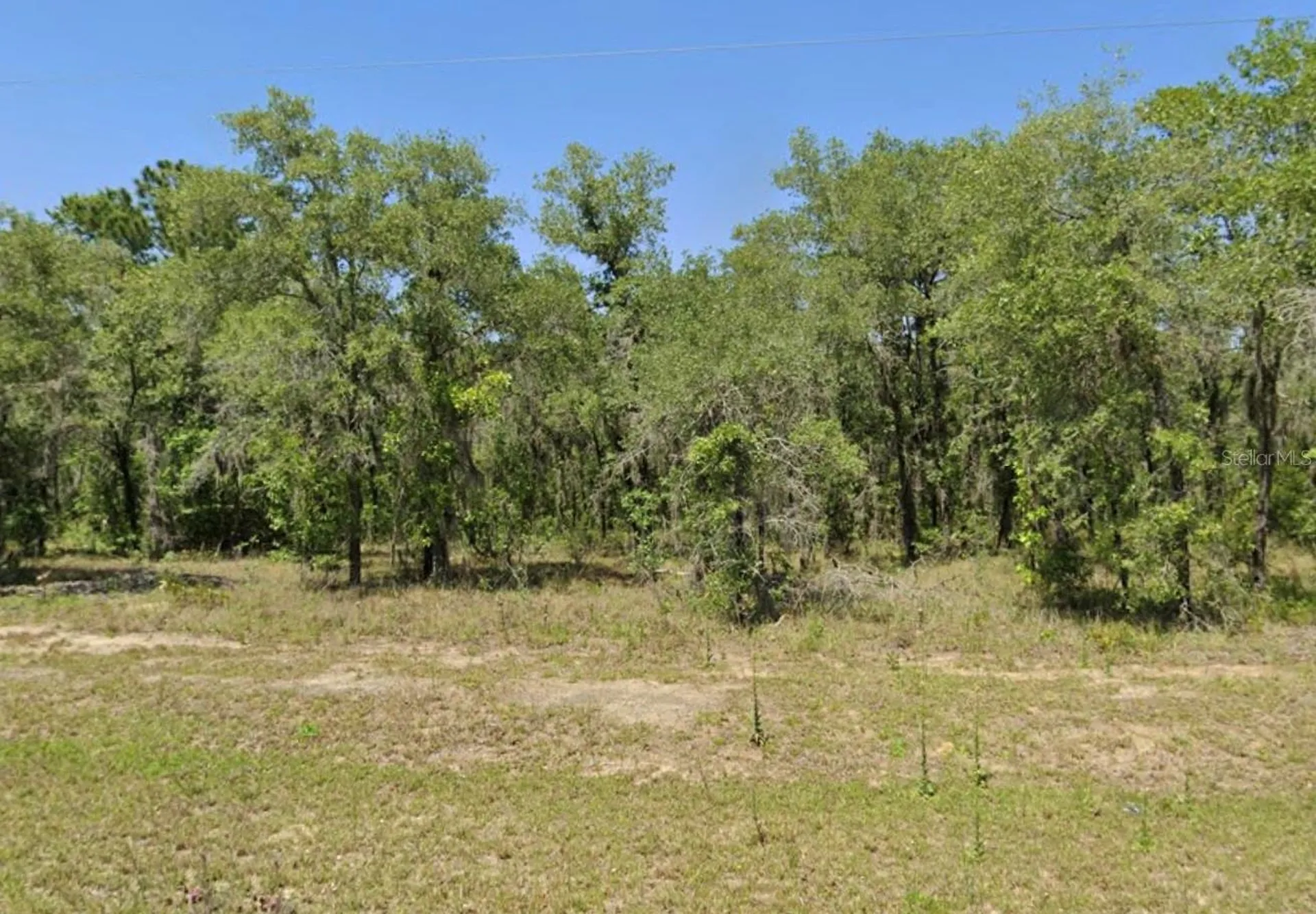 Lot 17 SE 16 Lane Morriston FL 32668