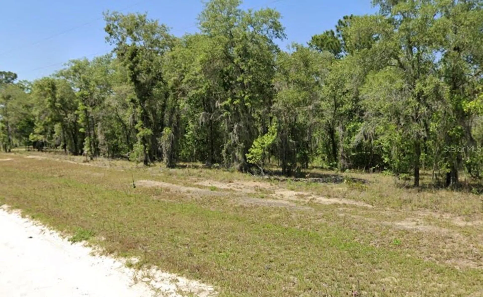 Lot 17 SE 16 Lane Morriston FL 32668