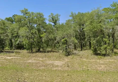 Lot 17 SE 16 Lane Morriston FL 32668