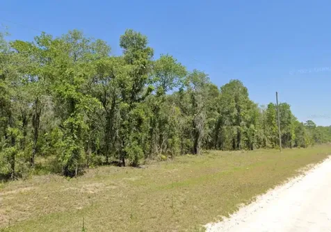 Lot 17 SE 16 Lane Morriston FL 32668