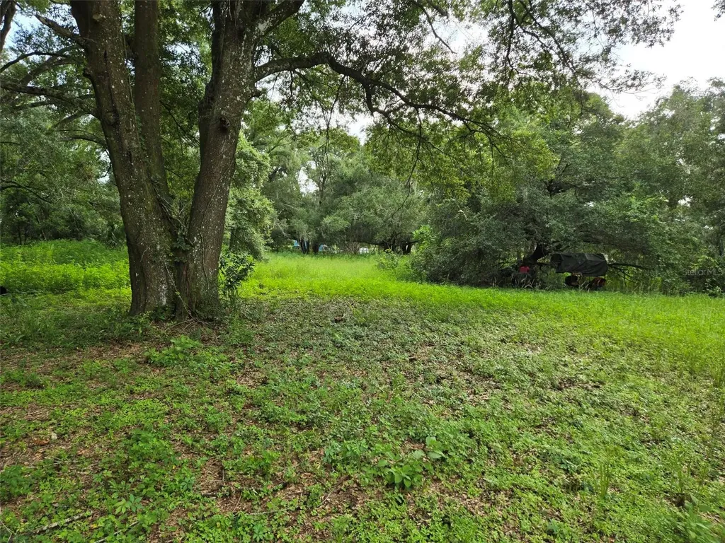 11110 Serenity Oaks Lane Thonotosassa FL 33592