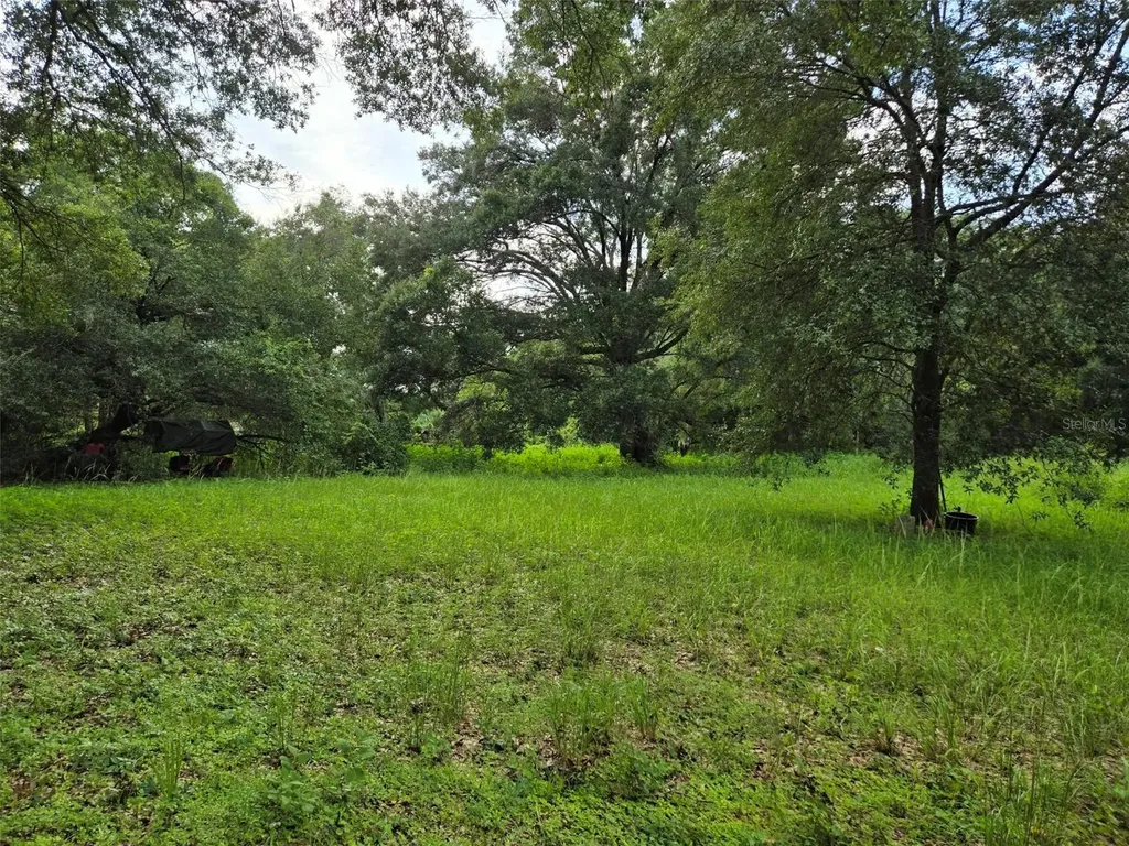 11110 Serenity Oaks Lane Thonotosassa FL 33592