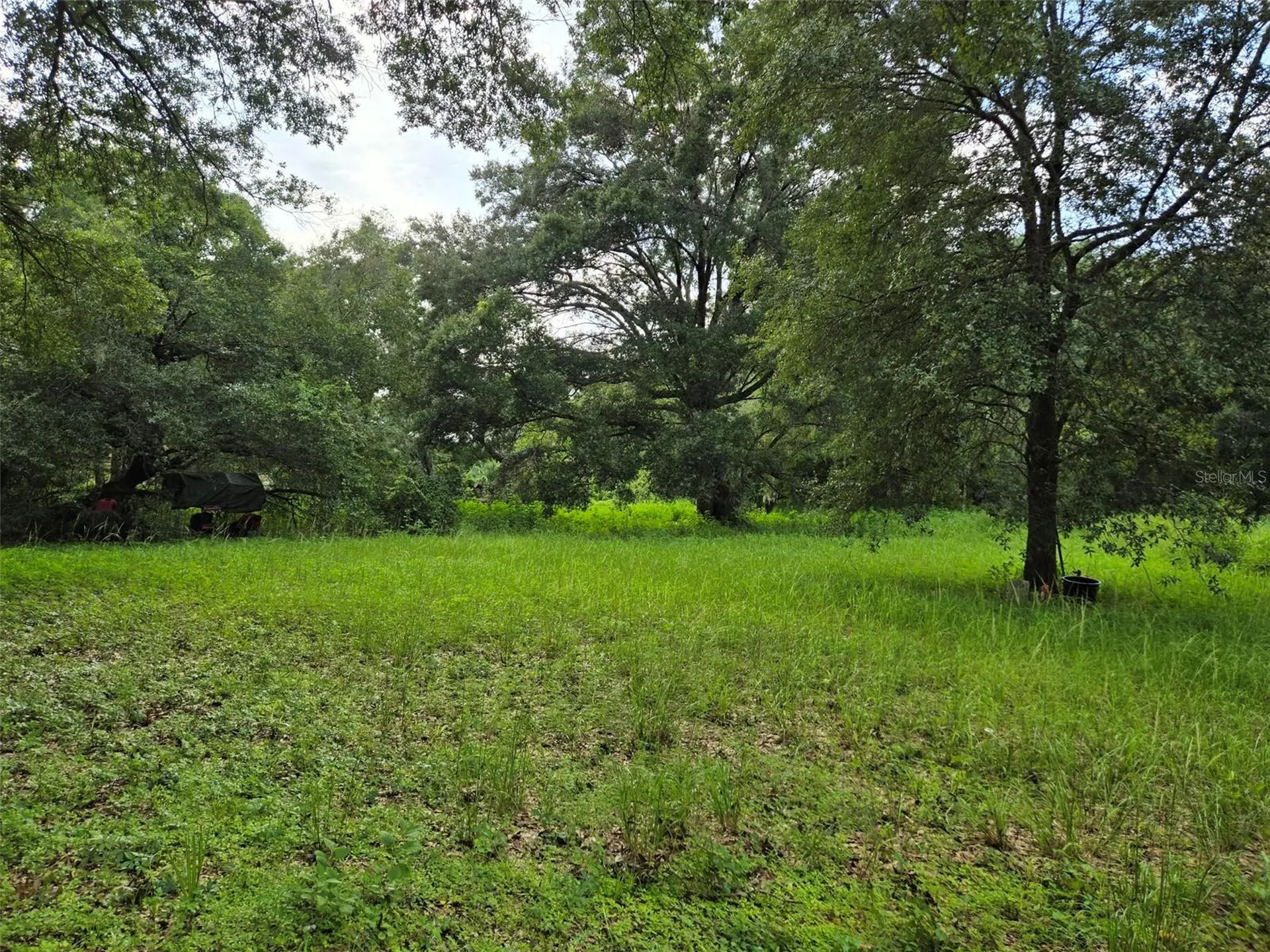 11110 Serenity Oaks Lane Thonotosassa FL 33592