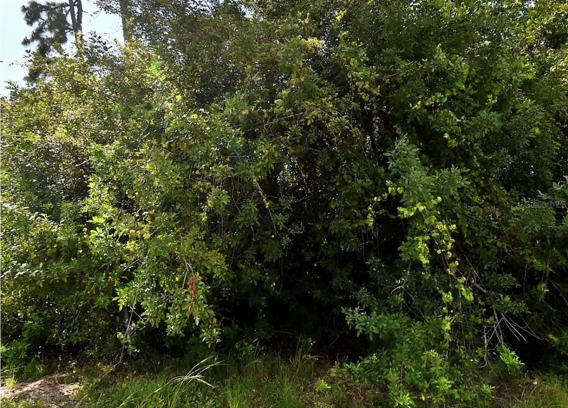 Map Avenue North Port FL 34286