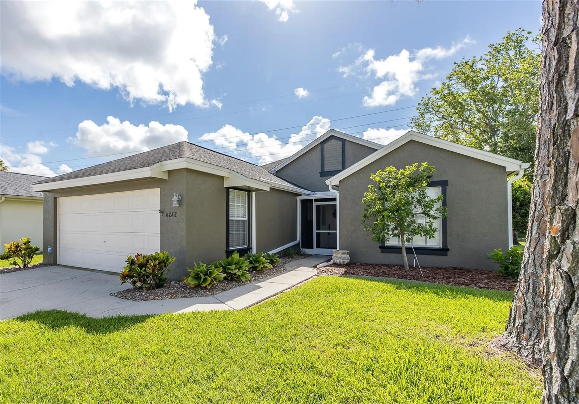 4242 Northampton Drive New Port Richey FL 34653