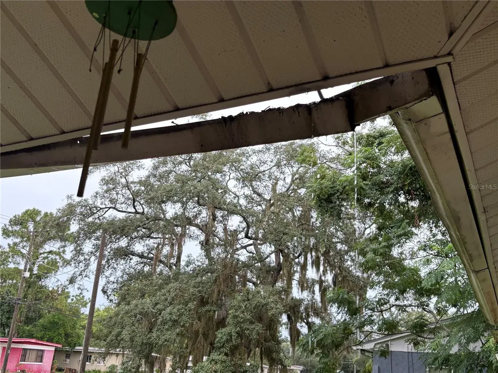 7121 N 50th Street Tampa FL 33617