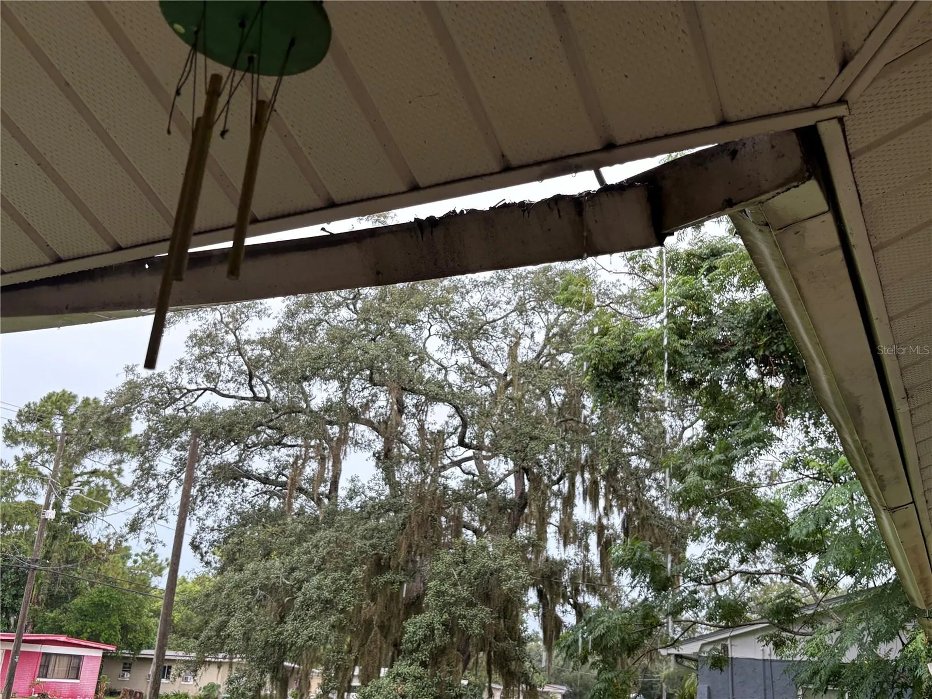 7121 N 50th Street Tampa FL 33617