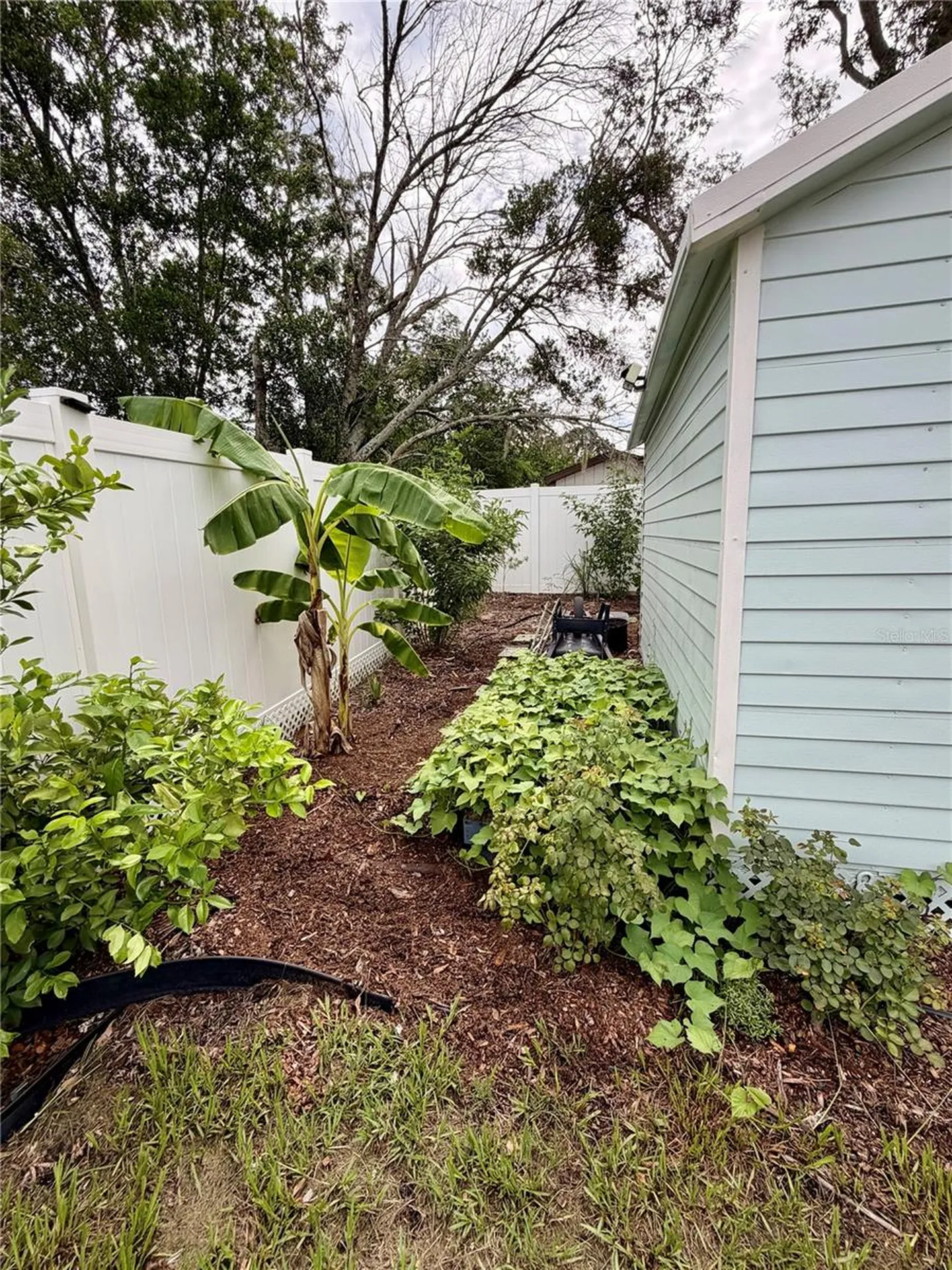 11450 Linden Drive Spring Hill FL 34608