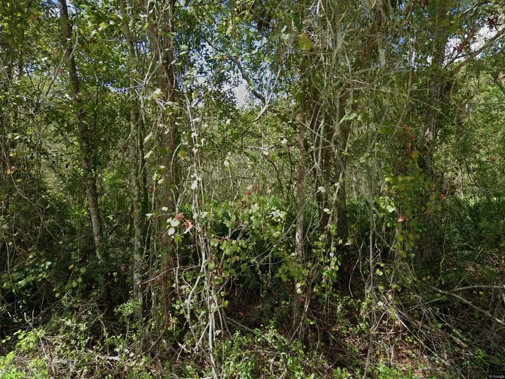 11457 Tulane Street New Port Richey FL 34654