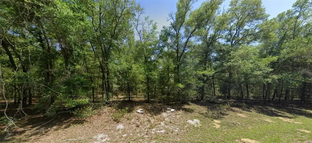 8388 N Joiner Way Citrus Springs FL 34434