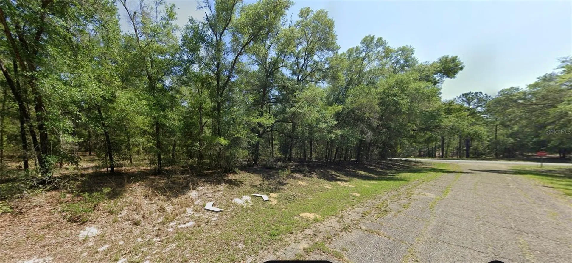 8388 N Joiner Way Citrus Springs FL 34434