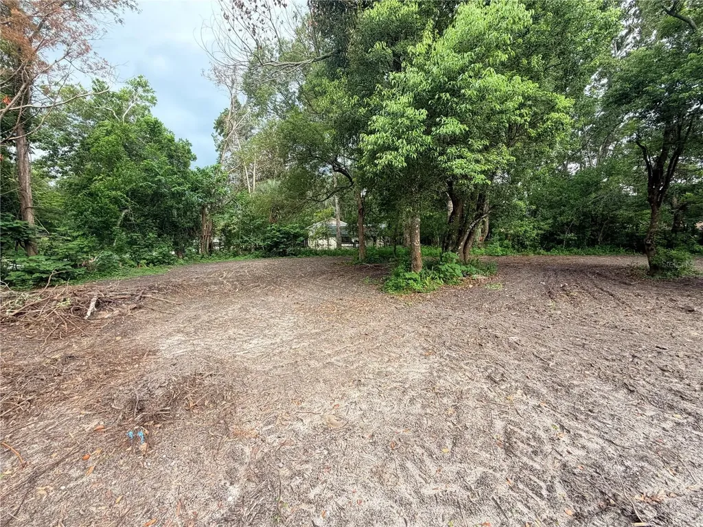 343 Lincoln Avenue Brooksville FL 34604