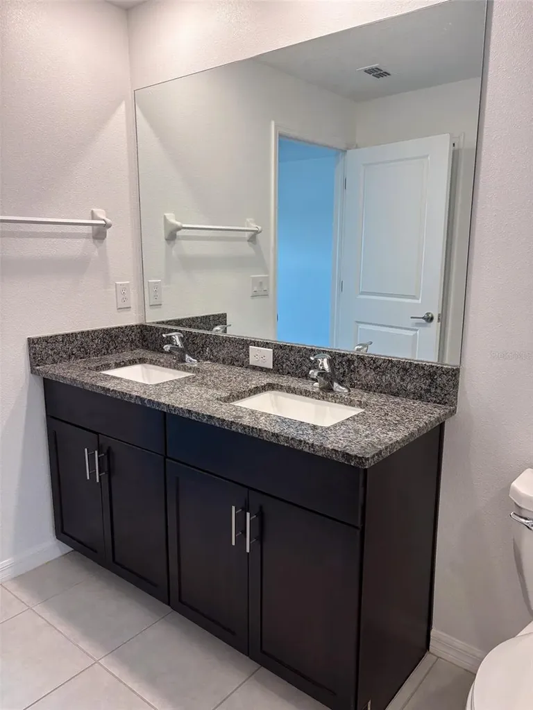 5487 Blue Azure Drive Wimauma FL 33598