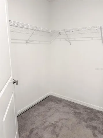 5487 Blue Azure Drive Wimauma FL 33598