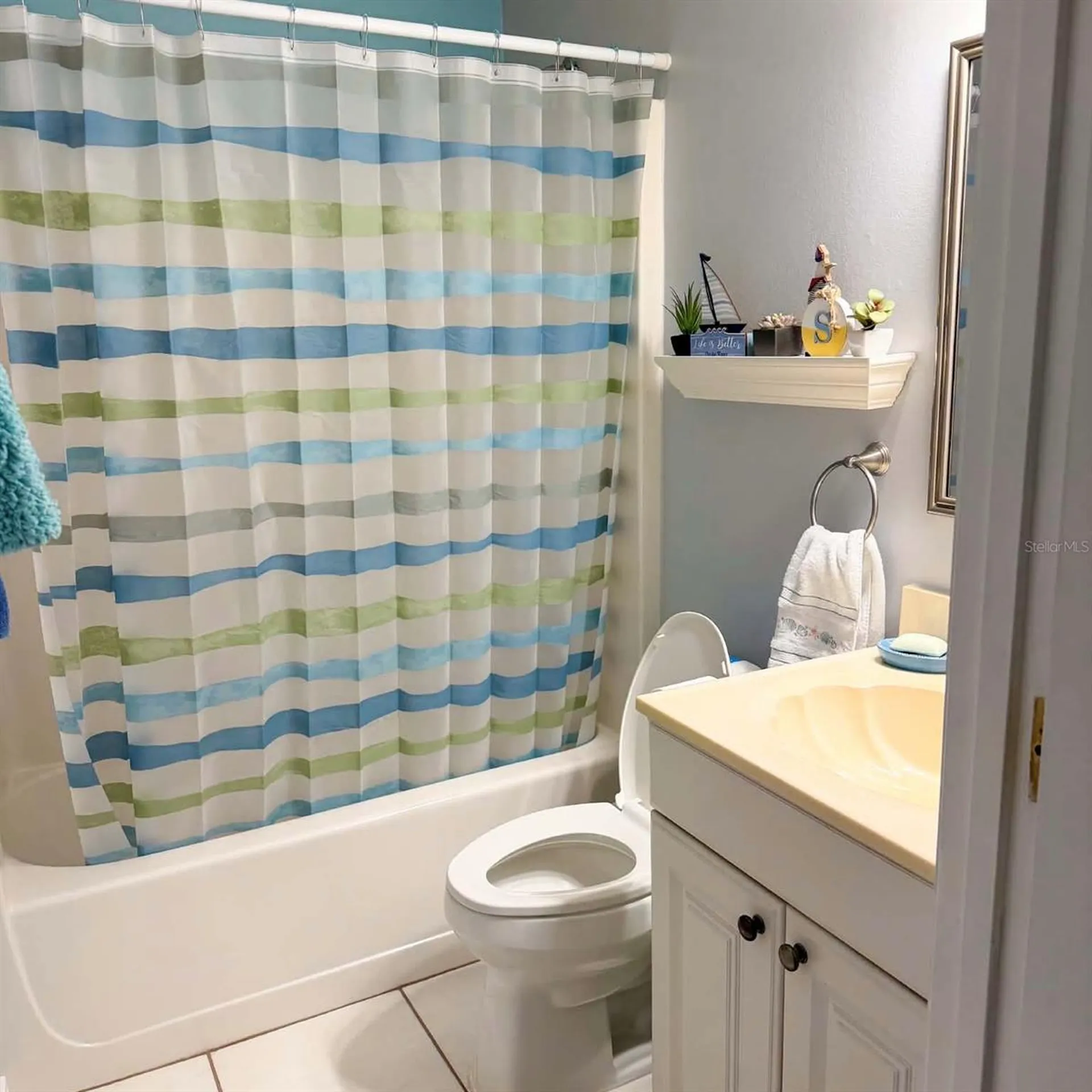 1580 Dorset Drive Mount Dora FL 32757