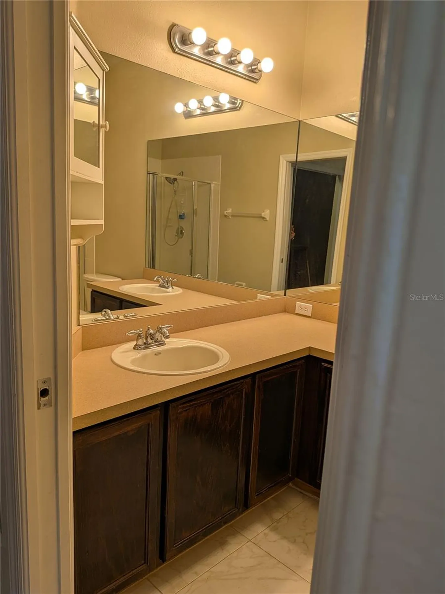 20405 Harvest Oak Court Tampa FL 33647