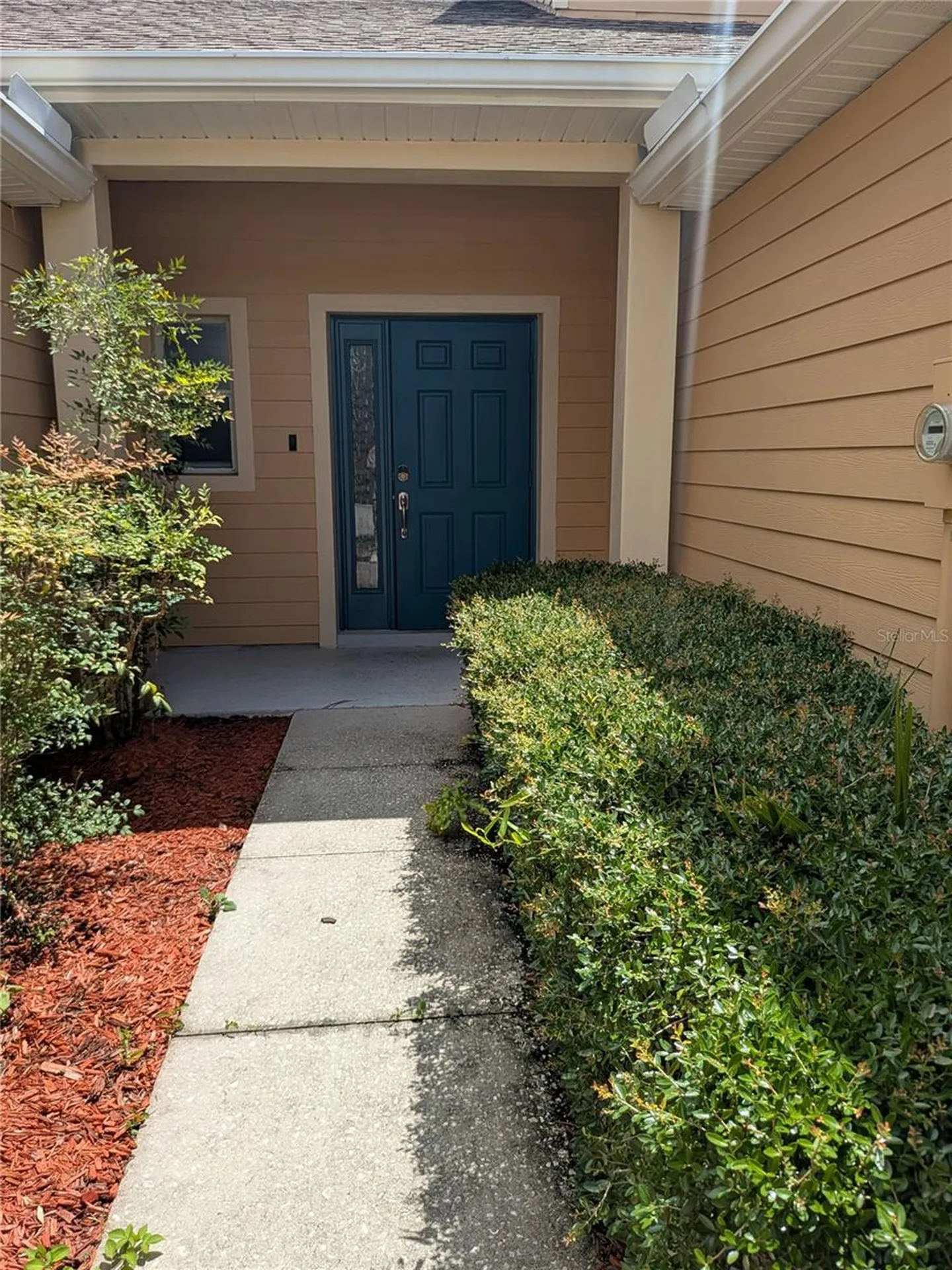 20405 Harvest Oak Court Tampa FL 33647