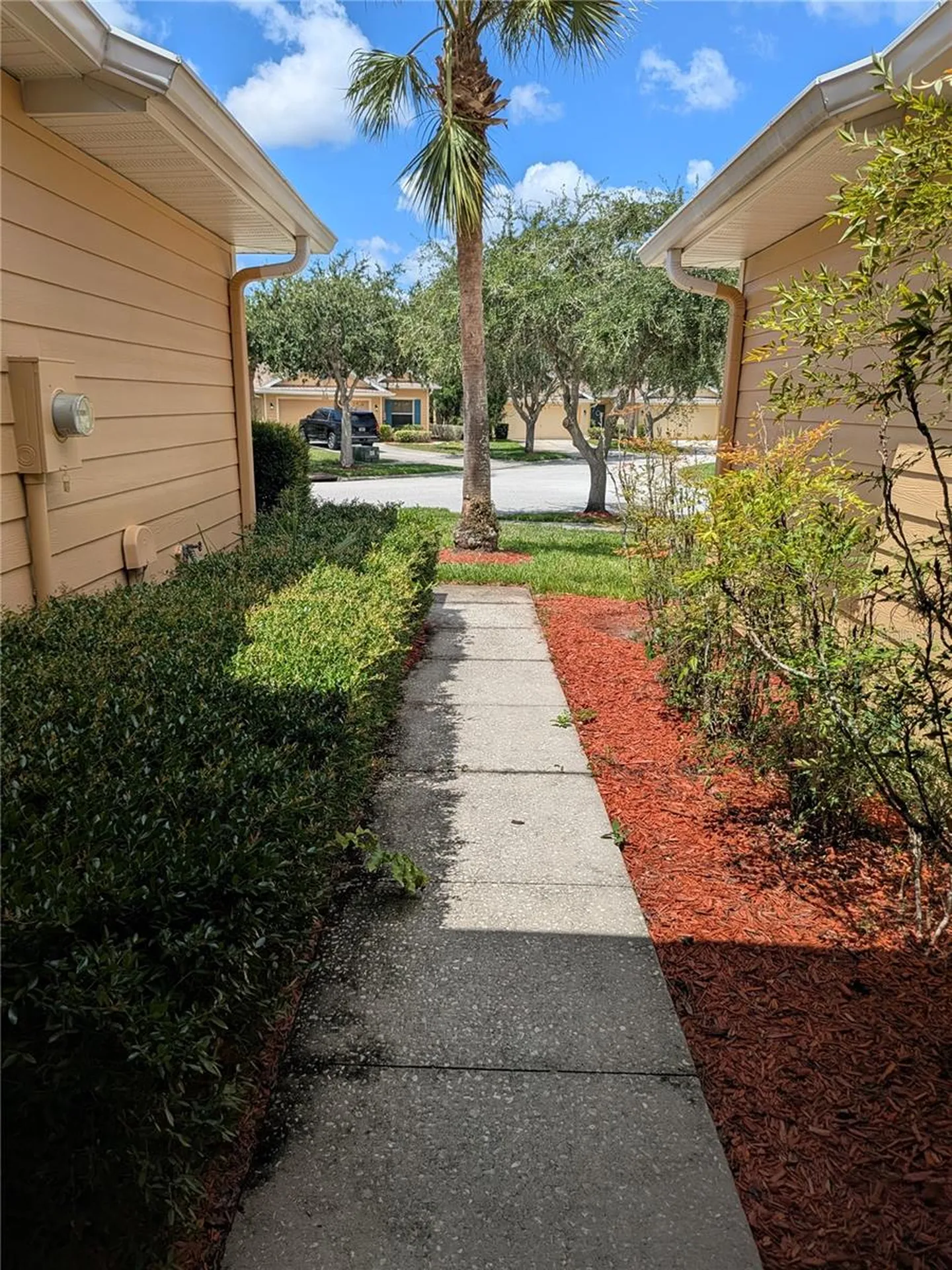 20405 Harvest Oak Court Tampa FL 33647