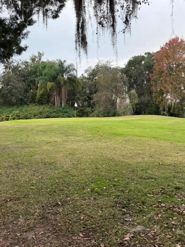 121 Hyde Park Court Davenport FL 33897