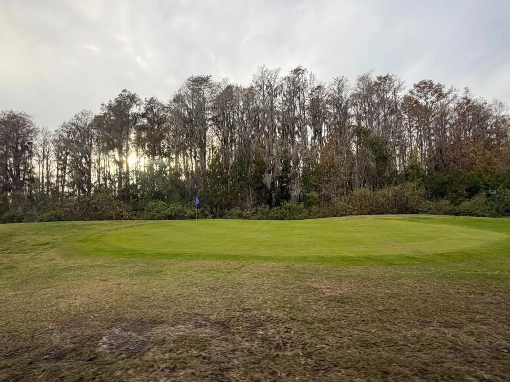 121 Hyde Park Court Davenport FL 33897