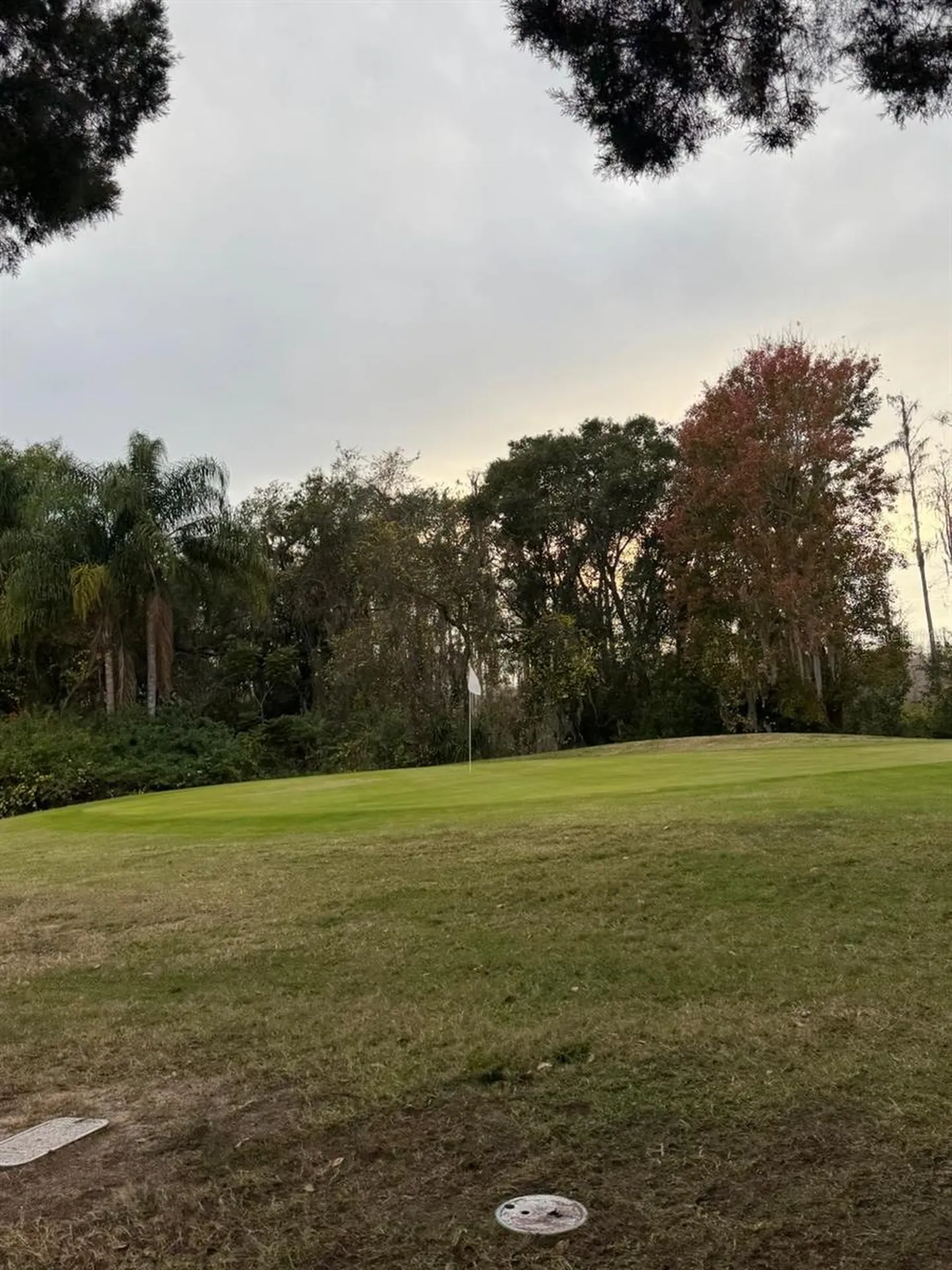 121 Hyde Park Court Davenport FL 33897