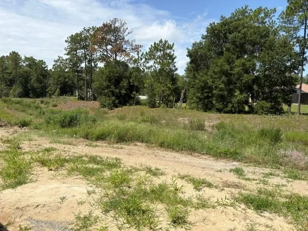 7722 SW 180th Circle Dunnellon FL 34432