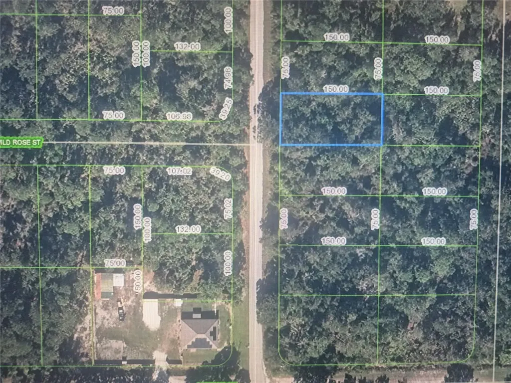 749 Highlands Lake Drive Lake Placid FL 33852