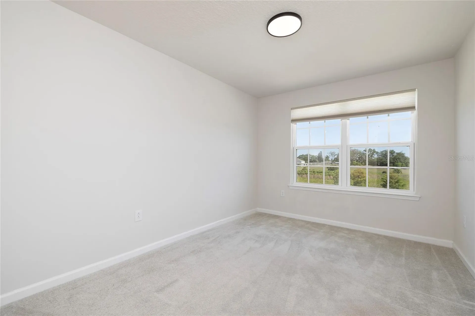 4298 Harbour Palm Drive Holiday FL 34691
