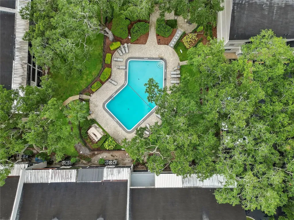 14466 Reuter Strasse Circle Tampa FL 33613