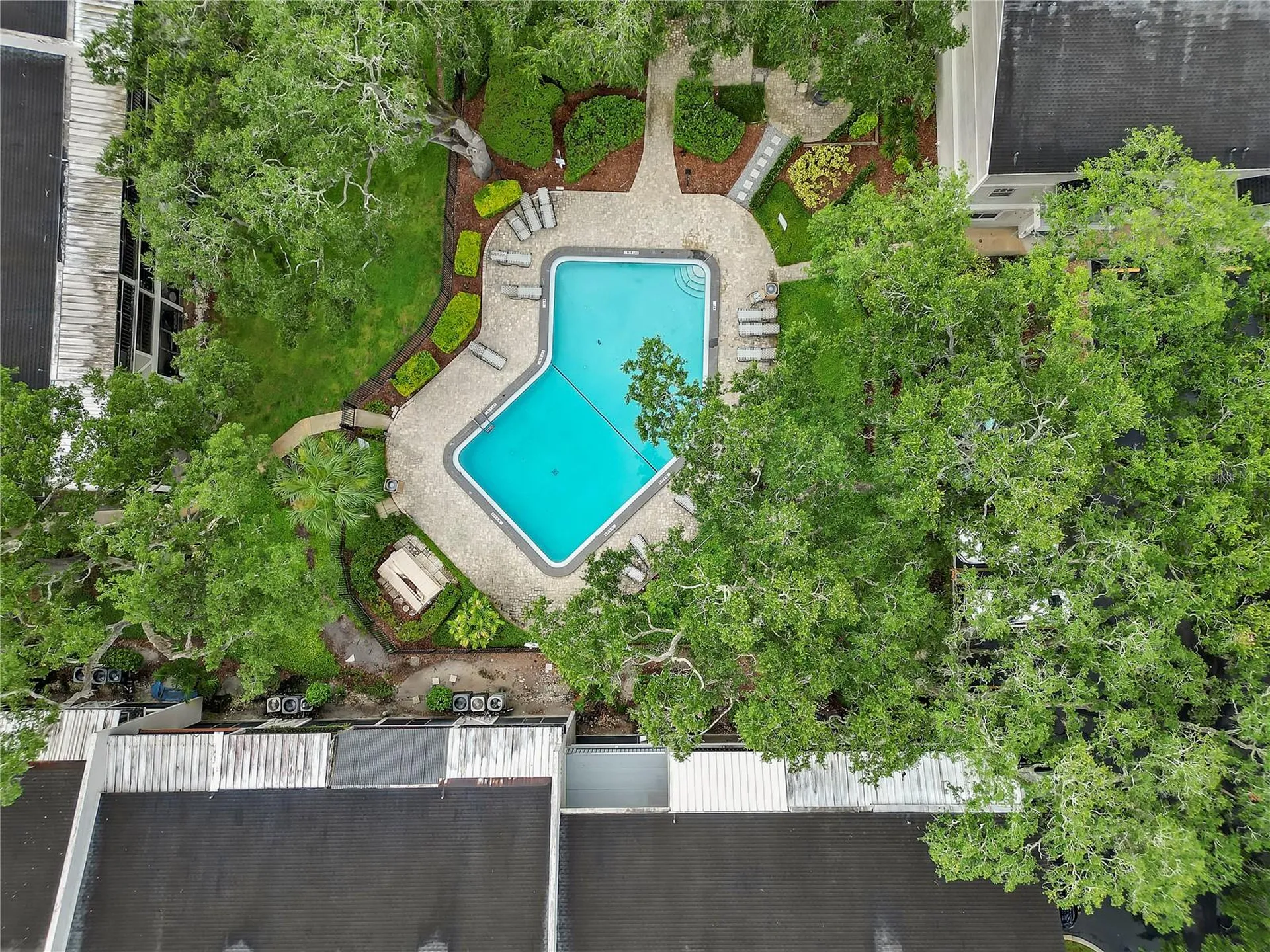 14466 Reuter Strasse Circle Tampa FL 33613