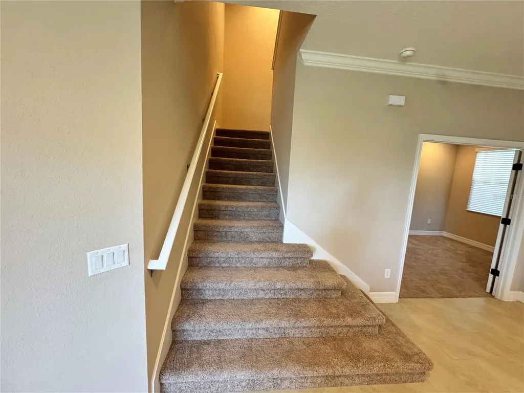 345 Villa Corte Drive Lutz FL 33549