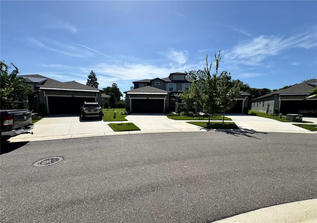 345 Villa Corte Drive Lutz FL 33549