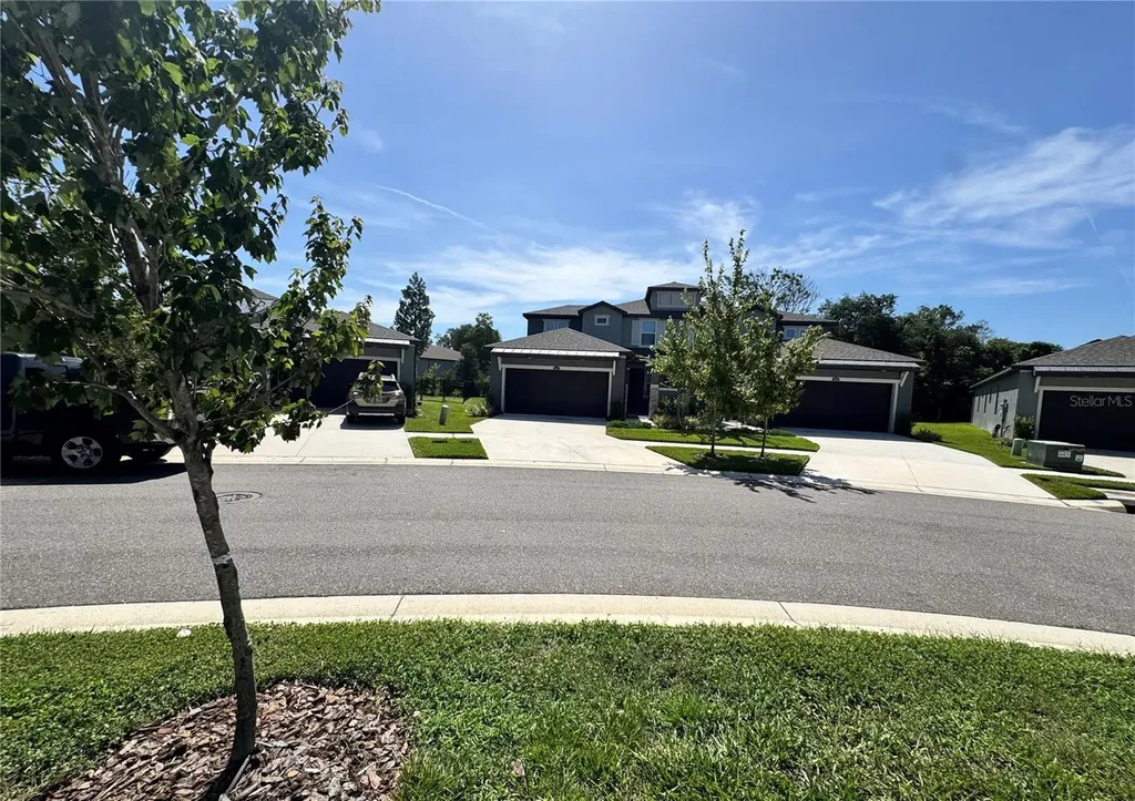 345 Villa Corte Drive Lutz FL 33549