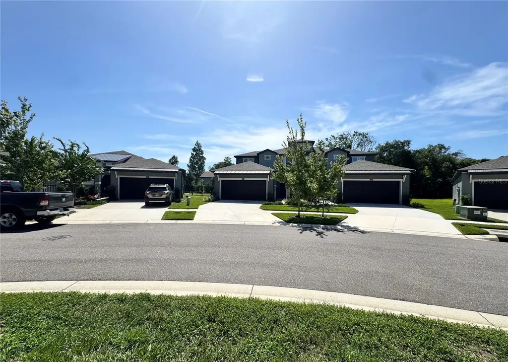 345 Villa Corte Drive Lutz FL 33549