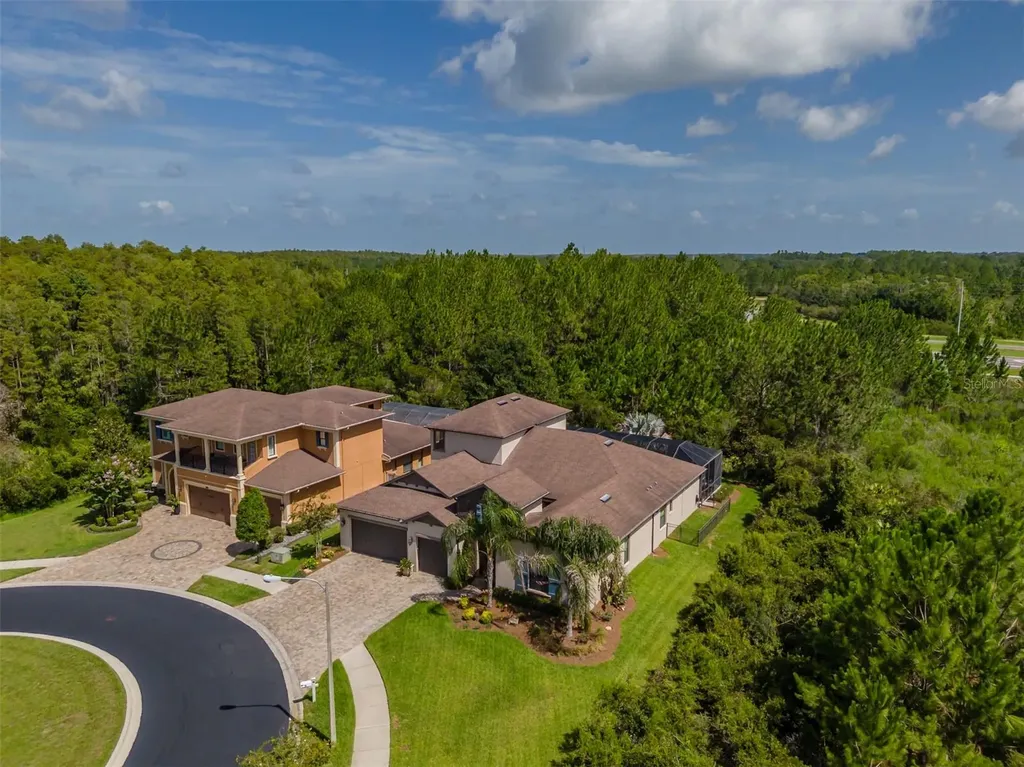 31961 Sandspirit Place Wesley Chapel FL 33543