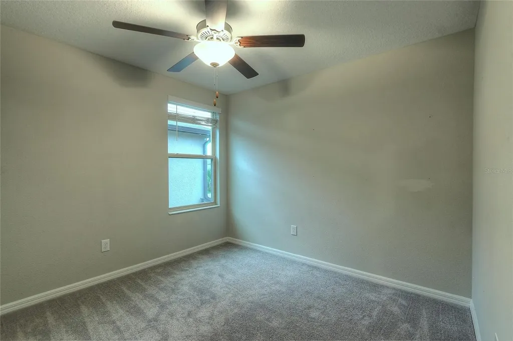 7217 Ronnie Gardens Court Tampa FL 33619
