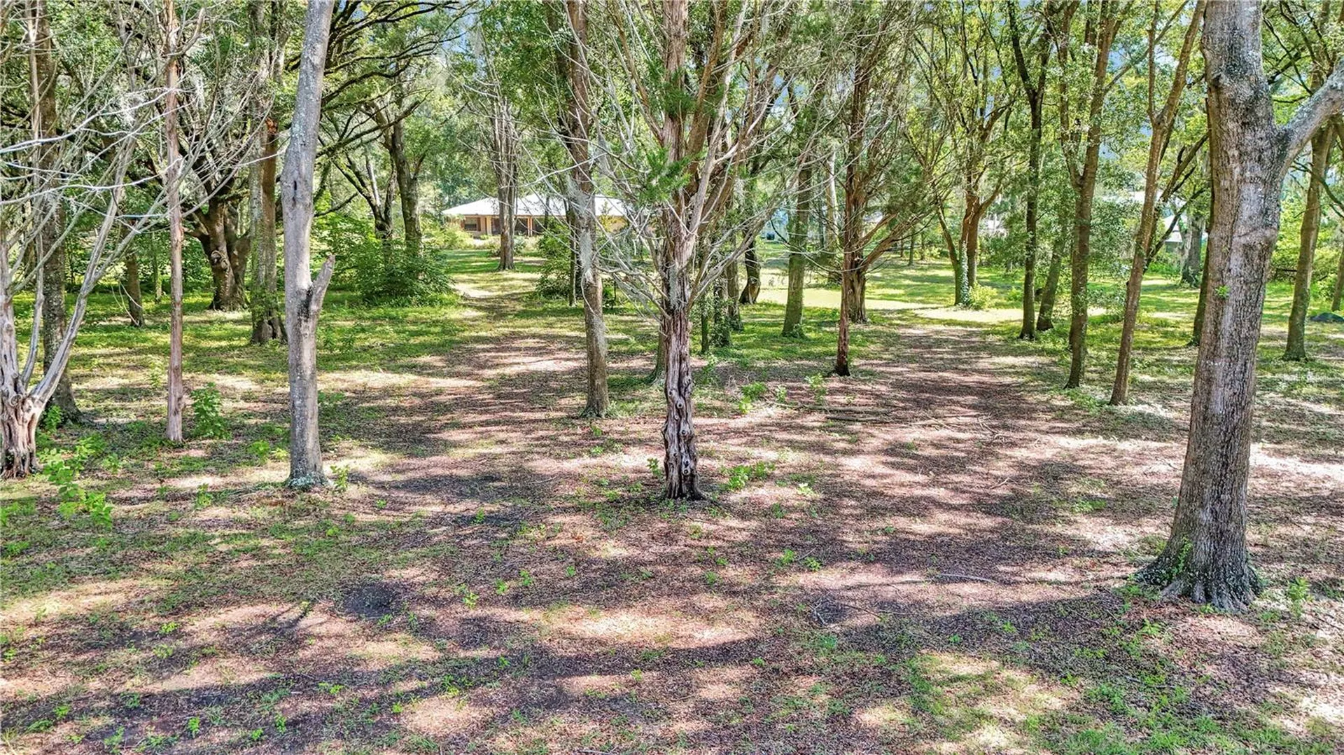 17690 SE 66 Place Morriston FL 32668