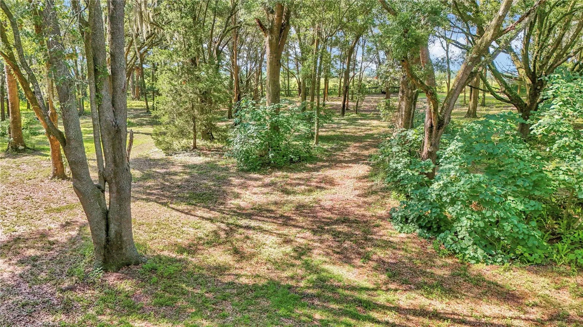 17690 SE 66 Place Morriston FL 32668