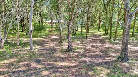17690 SE 66 Place Morriston FL 32668