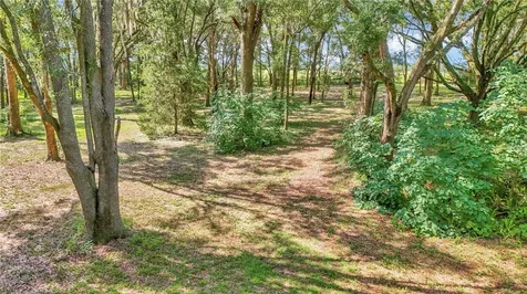 17690 SE 66 Place Morriston FL 32668