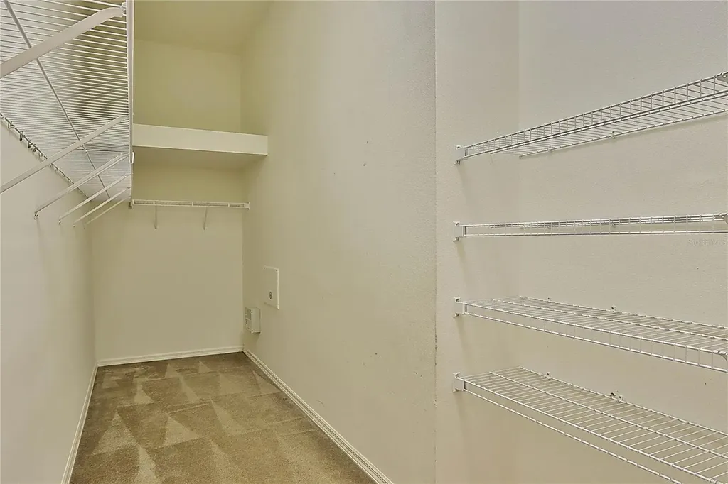 31007 Prout Court Wesley Chapel FL 33543