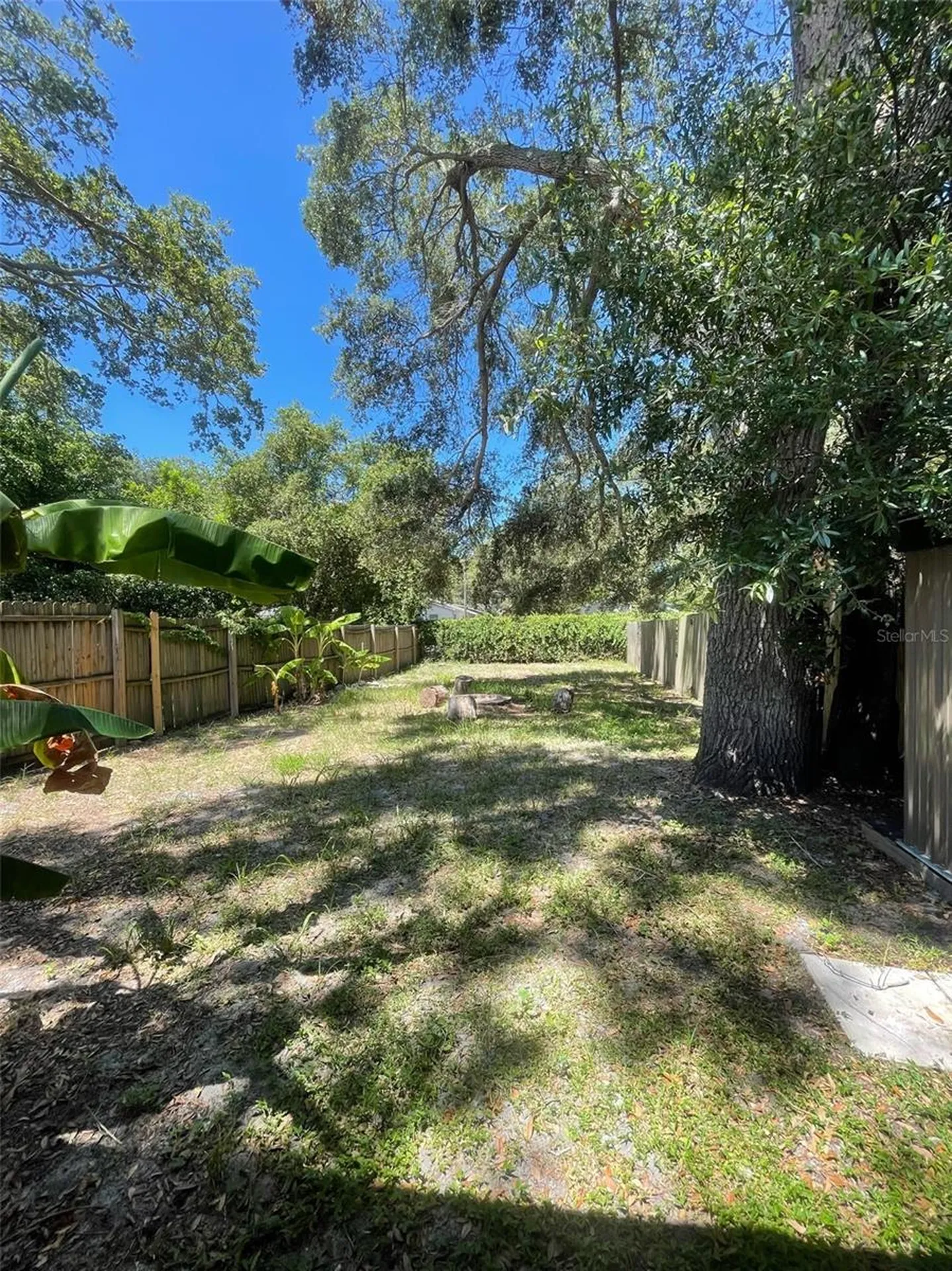 950 Beltrees Street Dunedin FL 34698