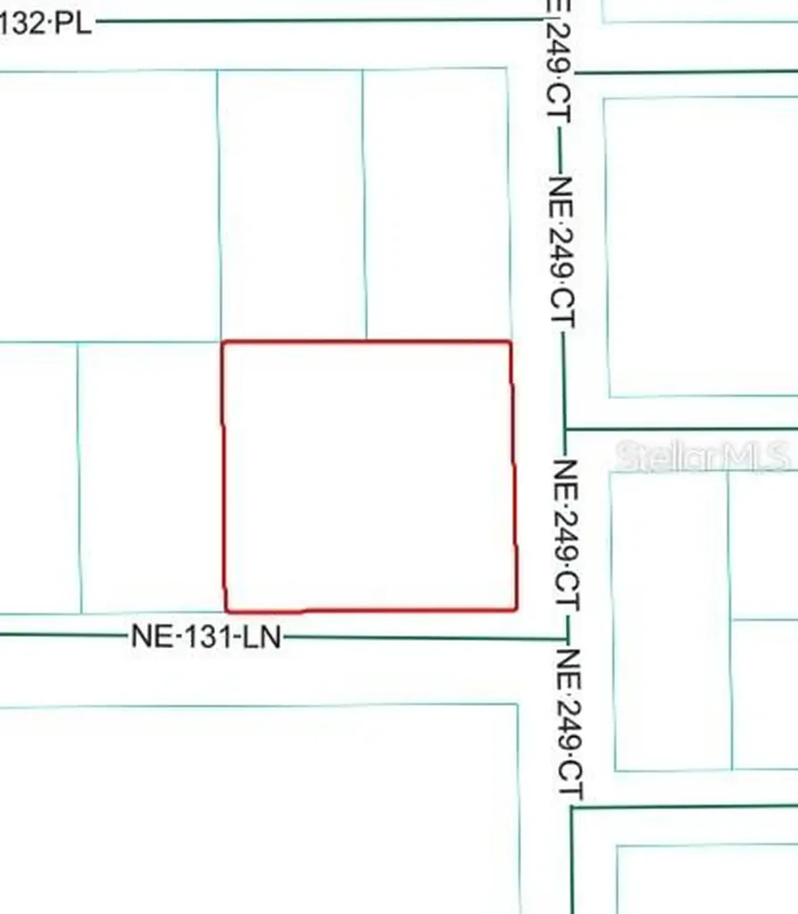 NE 249th Court Salt Springs FL 32134