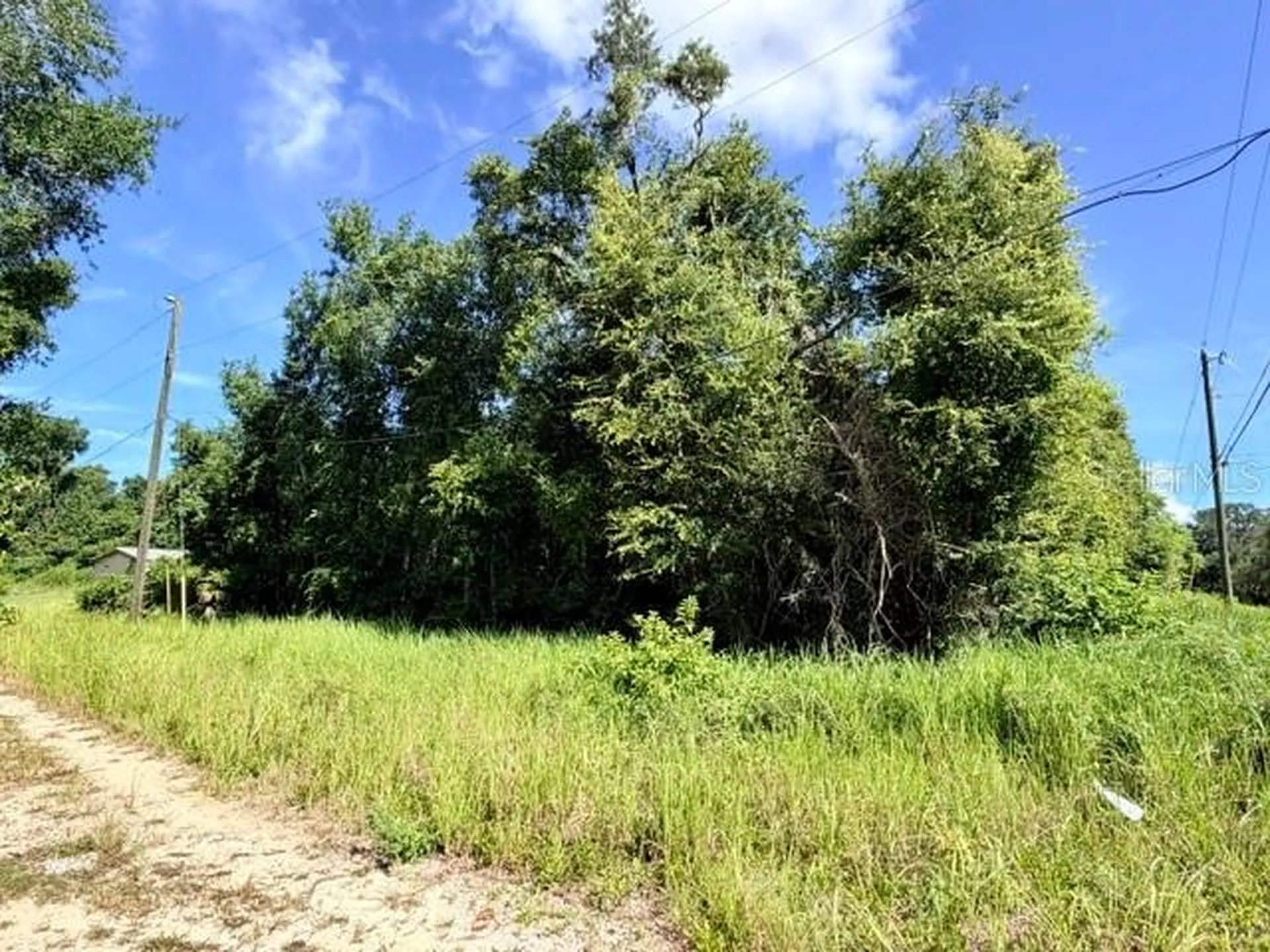 NE 249th Court Salt Springs FL 32134
