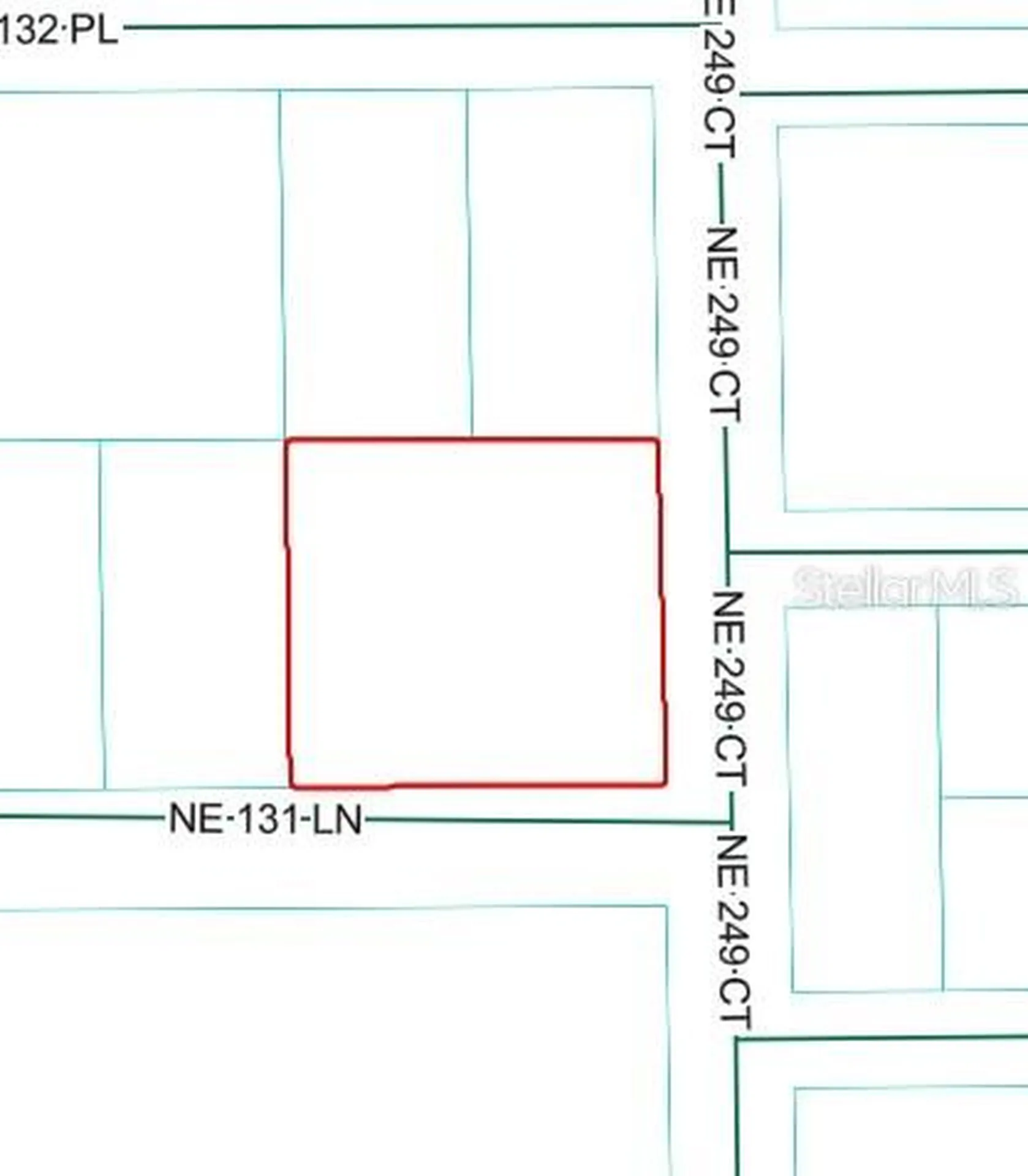 NE 249th Court Salt Springs FL 32134