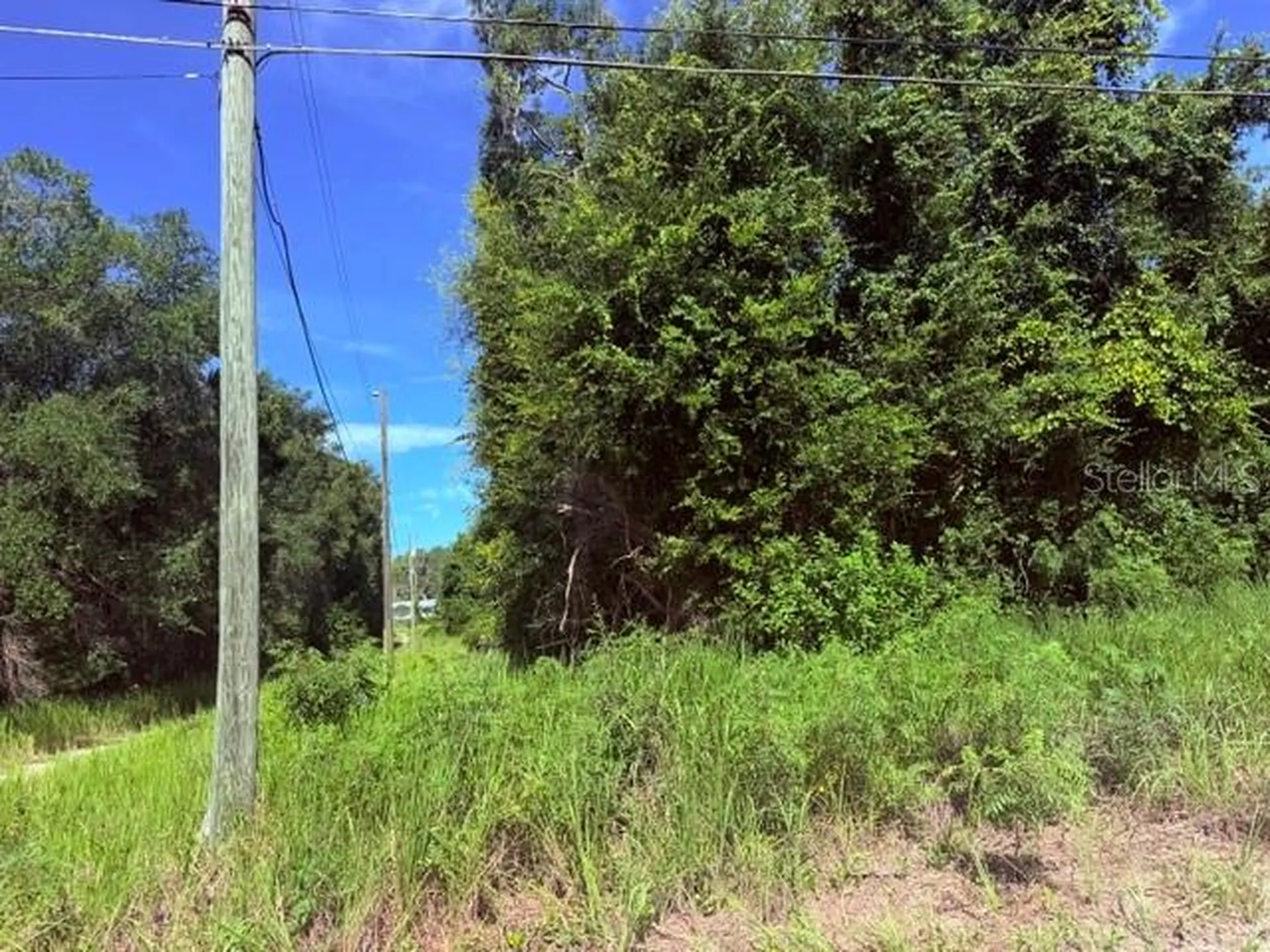 NE 249th Court Salt Springs FL 32134