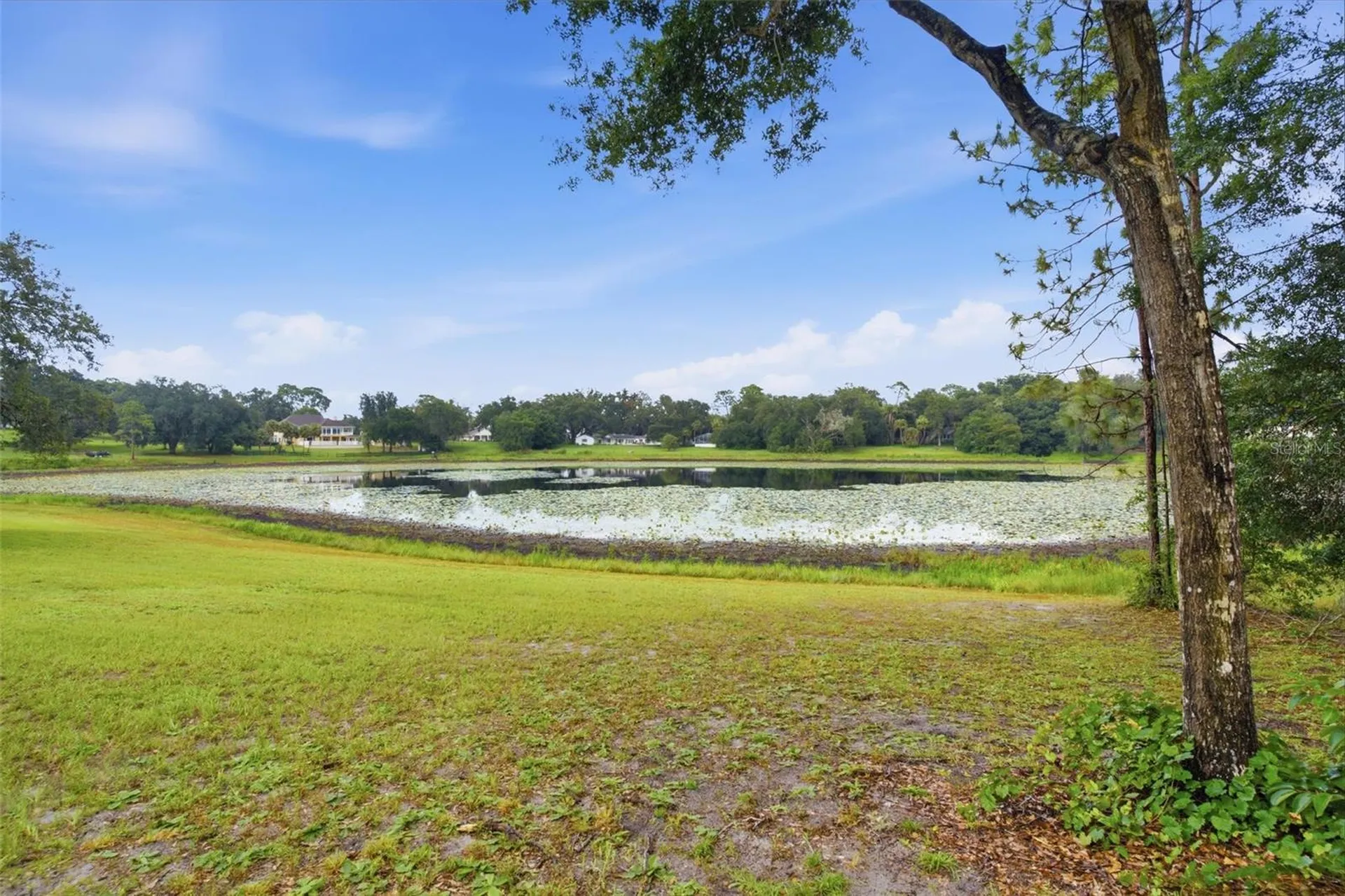 38700 Lakeview Drive Lady Lake FL 32159