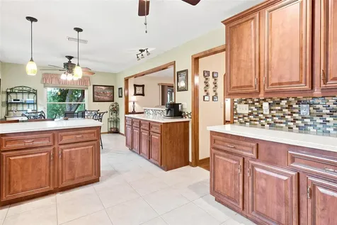 38700 Lakeview Drive Lady Lake FL 32159